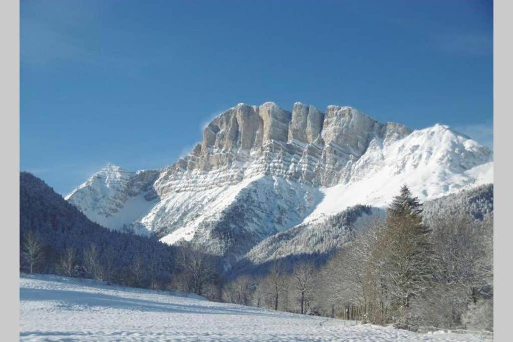 Petit Studio Mansarde 18 M2 Avec Navette Gratuit Aux Pistes De Ski Gresse-en-Vercors Eksteriør billede